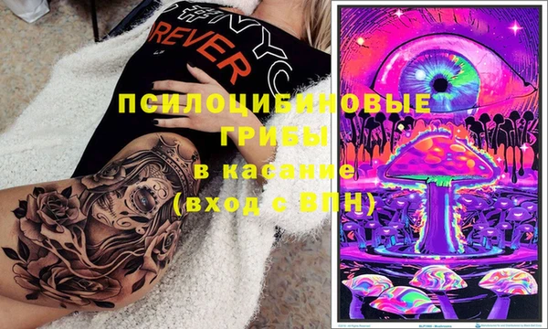 молекула духа Приозерск