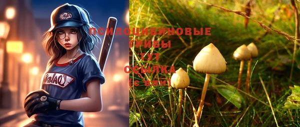 прущий лед Лысково