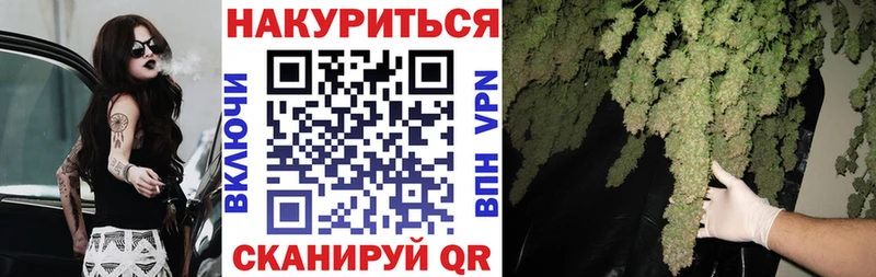 Каннабис сатива купить закладку Салехард